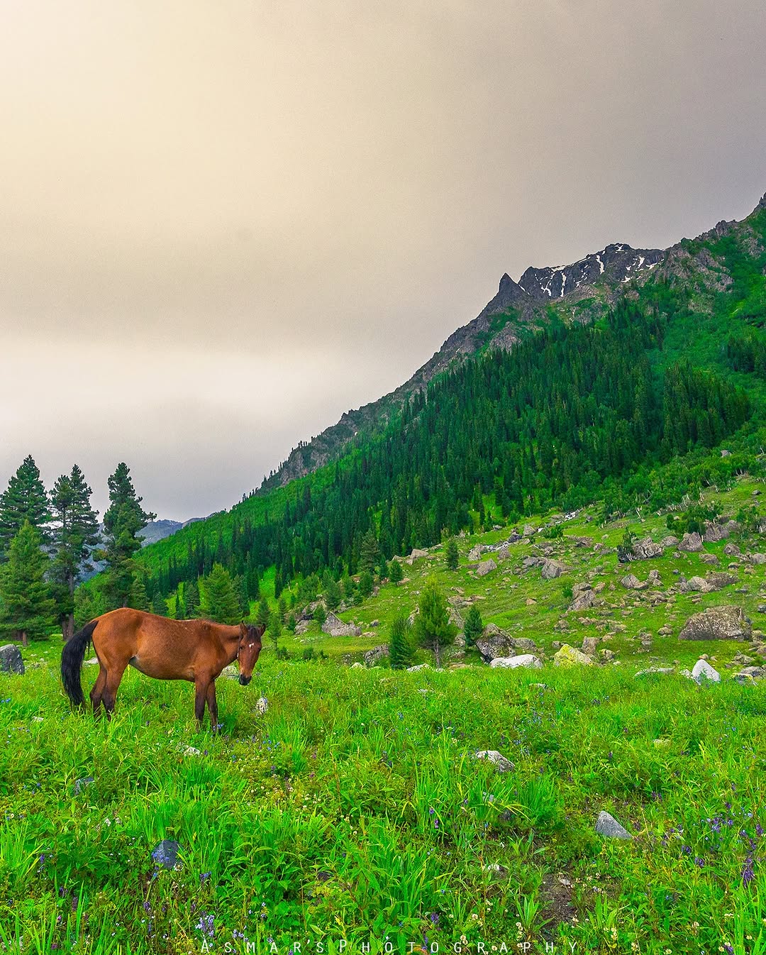 Tour gallery image 3