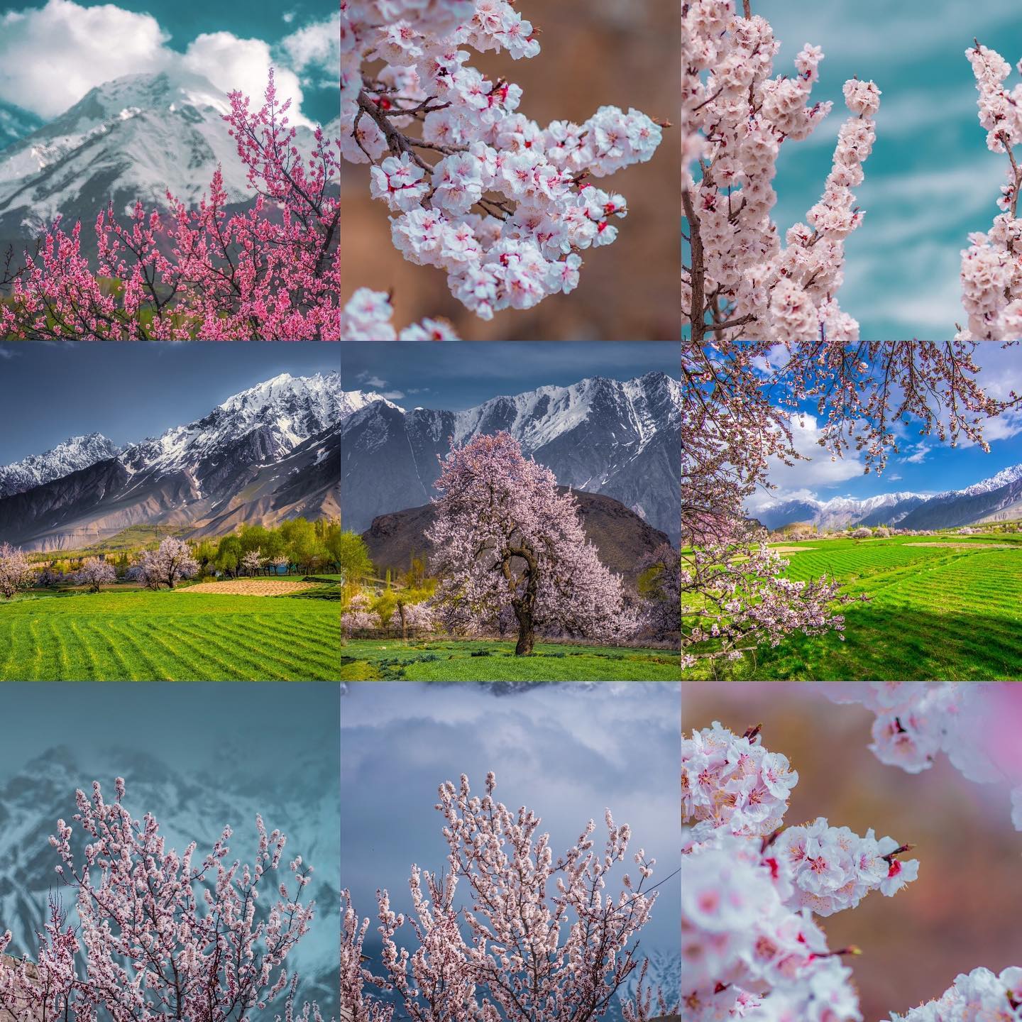 Tour gallery image 3