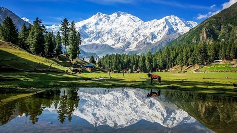 🏔️ The 2026 Definitive Guide to Fairy Meadows & Nanga Parbat