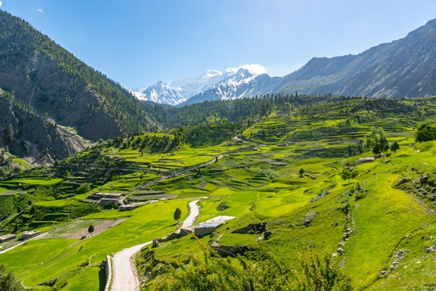 Astor Valley – Minimarg